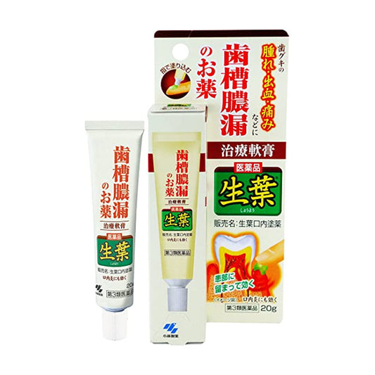 小林製薬 生葉口内塗薬