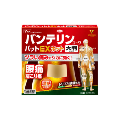 興和 バンテリンコーワパットEXホット